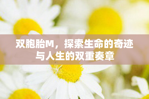 双胞胎M，探索生命的奇迹与人生的双重奏章