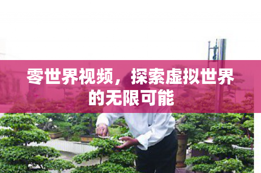 零世界视频，探索虚拟世界的无限可能