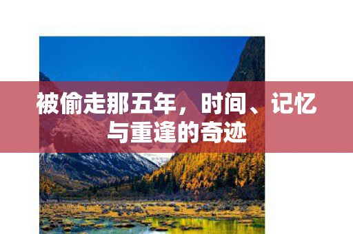被偷走那五年，时间、记忆与重逢的奇迹
