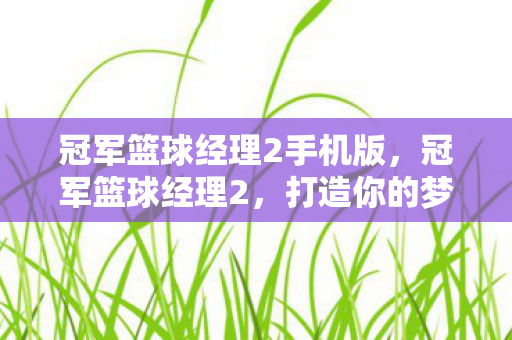 冠军篮球经理2手机版，冠军篮球经理2，打造你的梦幻阵容，引领篮球新纪元