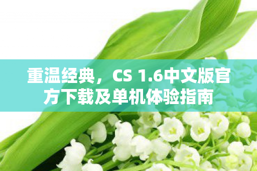重温经典，CS 1.6中文版官方下载及单机体验指南