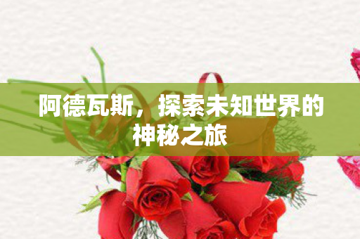 阿德瓦斯，探索未知世界的神秘之旅