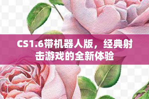 CS1.6带机器人版，经典射击游戏的全新体验