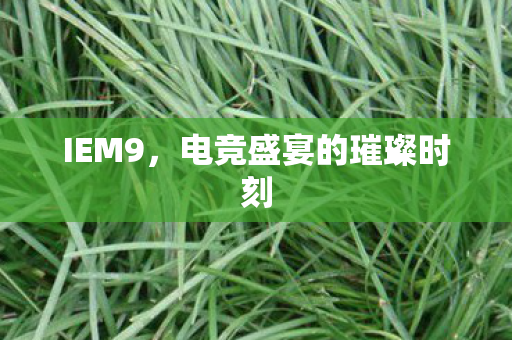 IEM9，电竞盛宴的璀璨时刻