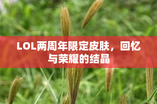 LOL两周年限定皮肤图片