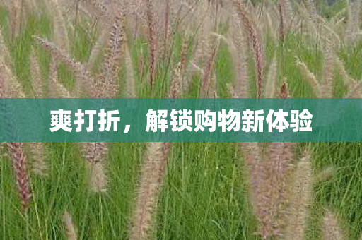 爽打折，解锁购物新体验