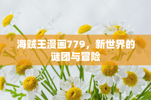 海贼王漫画779，新世界的谜团与冒险