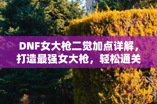 DNF女大枪二觉加点详解，打造最强女大枪，轻松通关各种副本