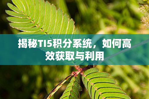 揭秘TI5积分系统图片