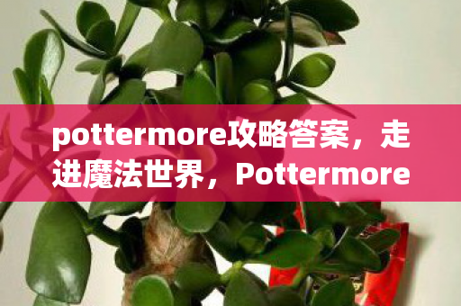 pottermore攻略答案，走进魔法世界，Pottermore全面攻略