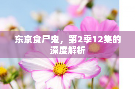 东京食尸鬼，第2季12集的深度解析