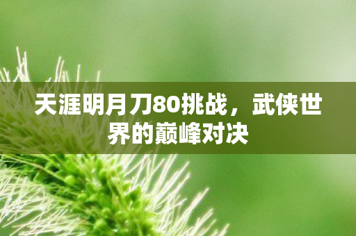 天涯明月刀80挑战，武侠世界的巅峰对决