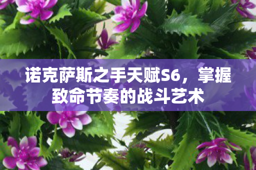 诺克萨斯之手天赋S6，掌握致命节奏的战斗艺术