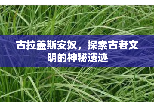 古拉盖斯安奴，探索古老文明的神秘遗迹