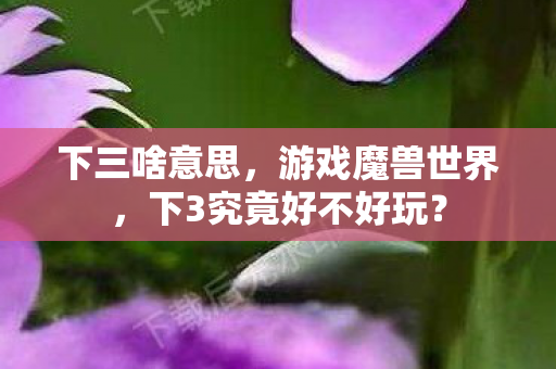 下三啥意思,游戏魔兽世界,下3究竟好不好玩? 下三啥意思,游戏魔兽世界,下3究竟好不好玩?