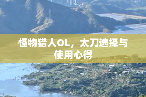 太刀选择与使用心得图片