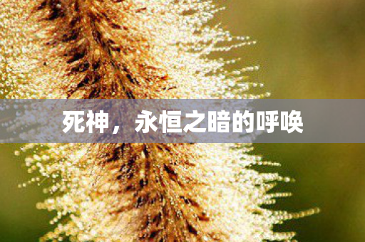 死神，永恒之暗的呼唤