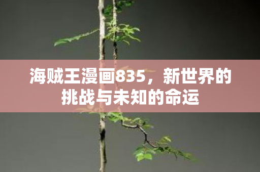 海贼王漫画835，新世界的挑战与未知的命运