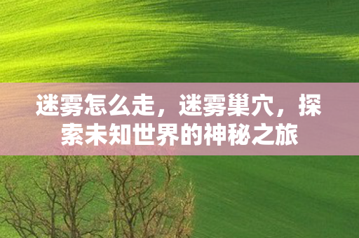 迷雾怎么走，迷雾巢穴，探索未知世界的神秘之旅