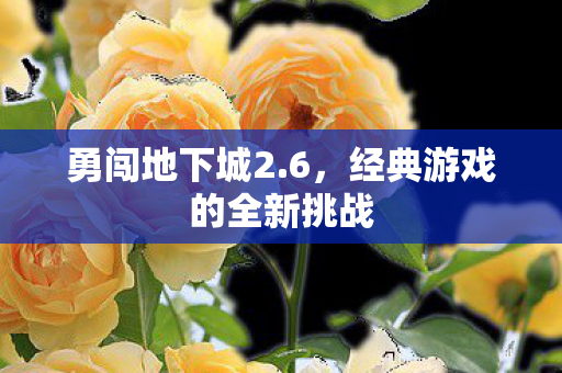 勇闯地下城2.6，经典游戏的全新挑战
