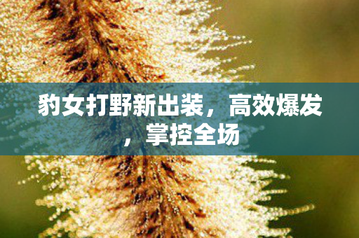 豹女打野新出装，高效爆发，掌控全场