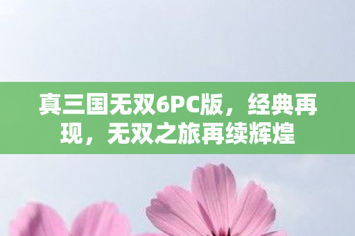 真三国无双6PC版图片