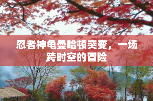 忍者神龟曼哈顿突变，一场跨时空的冒险