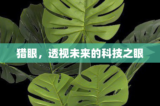 猎眼，透视未来的科技之眼