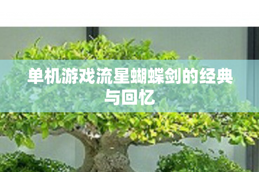 单机游戏流星蝴蝶剑的经典与回忆