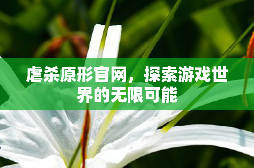 虐杀原形官网，探索游戏世界的无限可能