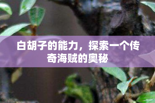 白胡子的能力，探索一个传奇海贼的奥秘