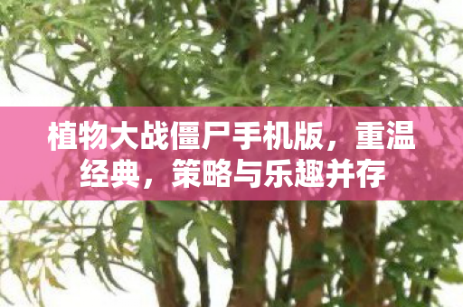 植物大战僵尸手机版，重温经典，策略与乐趣并存