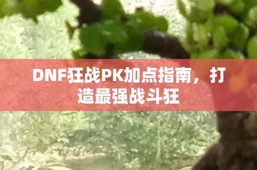 DNF狂战PK加点指南，打造最强战斗狂