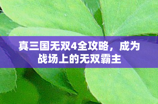 真三国无双4全攻略，成为战场上的无双霸主