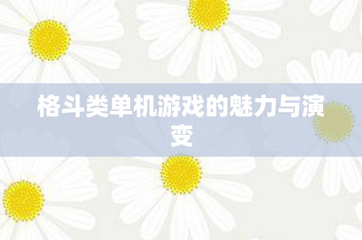 格斗类单机游戏的魅力与演变