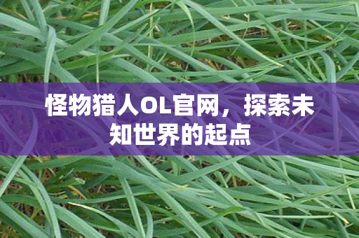 怪物猎人OL官网，探索未知世界的起点