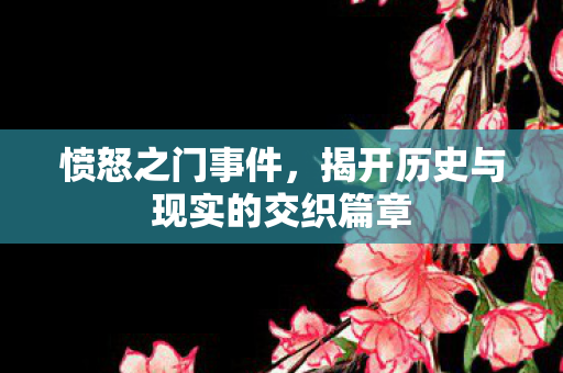 愤怒之门事件，揭开历史与现实的交织篇章