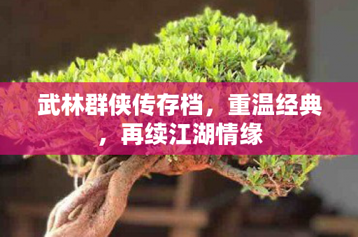 武林群侠传存档,重温经典,再续江湖情缘 武林群侠传存档,重温经典,再续江湖情缘