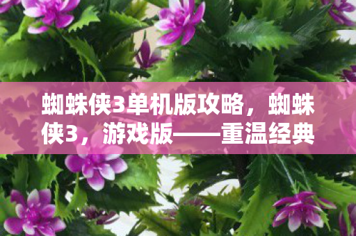 蜘蛛侠3单机版攻略，蜘蛛侠3，游戏版——重温经典，再燃激情