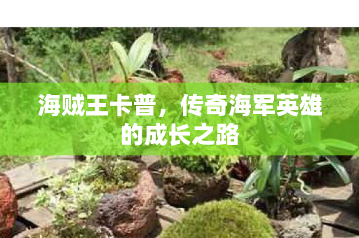 海贼王卡普，传奇海军英雄的成长之路