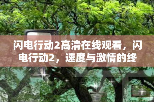 闪电行动2高清在线观看，闪电行动2，速度与激情的终极对决