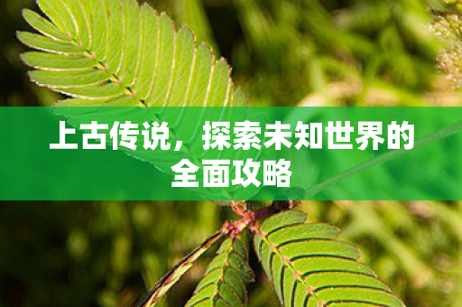 上古传说,探索未知世界的全面攻略 上古传说,探索未知世界的全面攻略