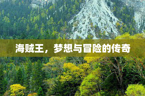 海贼王，梦想与冒险的传奇