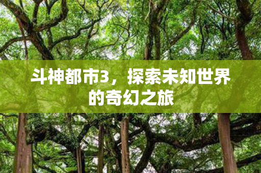 斗神都市3，探索未知世界的奇幻之旅