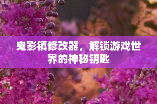 鬼影镇修改器，解锁游戏世界的神秘钥匙