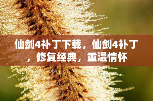 仙剑4补丁下载，仙剑4补丁，修复经典，重温情怀