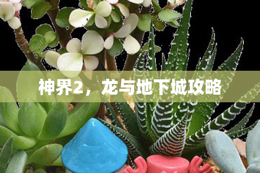 神界2，龙与地下城攻略