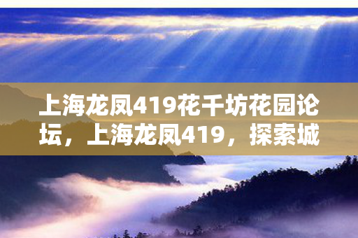 上海龙凤419花千坊花园论坛，上海龙凤419，探索城市中的神秘文化
