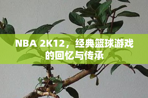 NBA 2K12，经典篮球游戏的回忆与传承