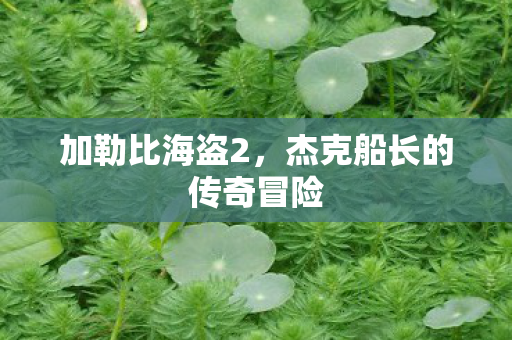 加勒比海盗2，杰克船长的传奇冒险